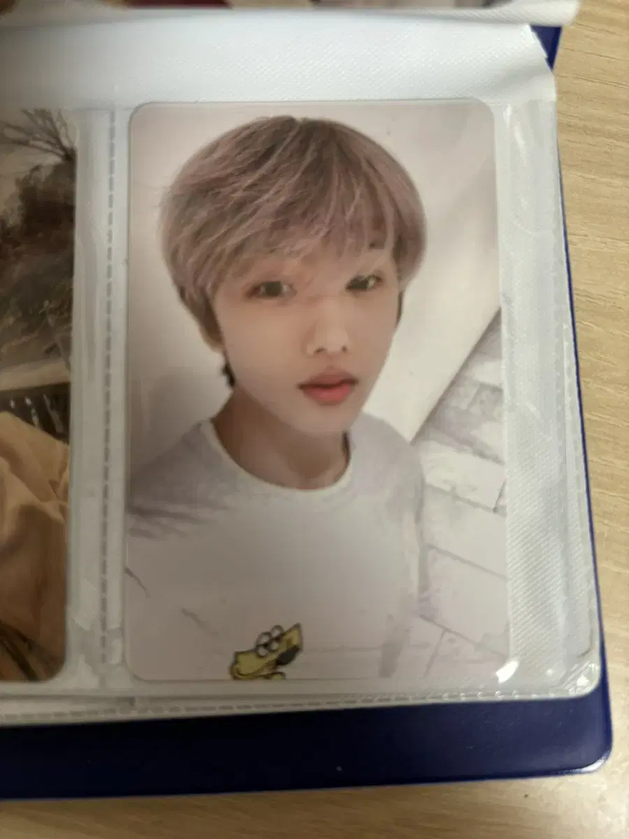 Taste cafe jisung? photocard wts