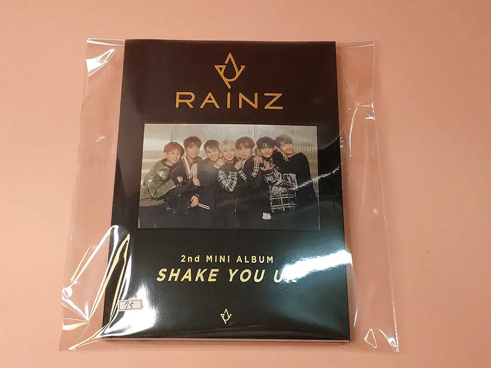 레인즈 (Rainz) - 미니앨범 2집 Shake You Up