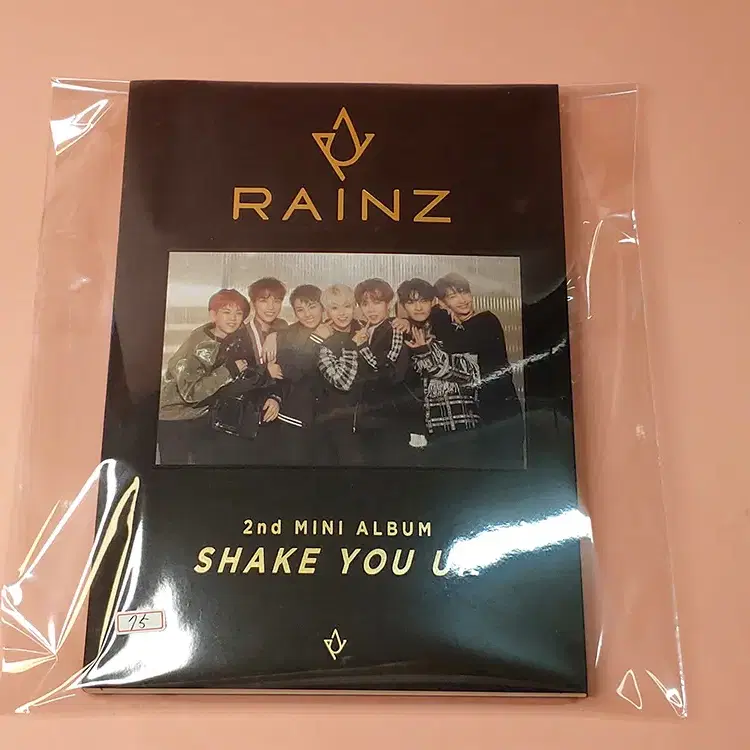 레인즈 (Rainz) - 미니앨범 2집 Shake You Up