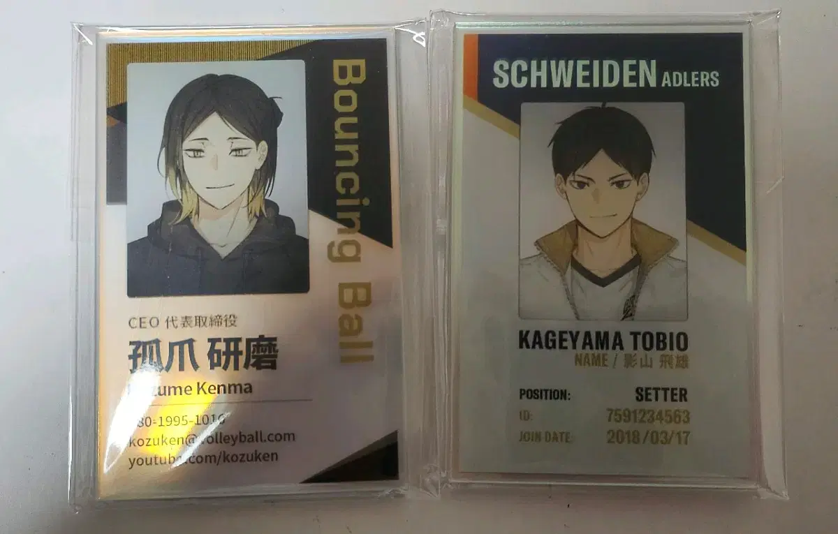 Haikyuu acrylic Sells national IDs (student IDs)