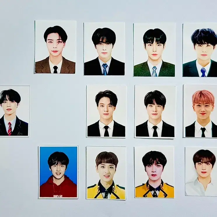 NCT & THEBOYZ 증사 양도