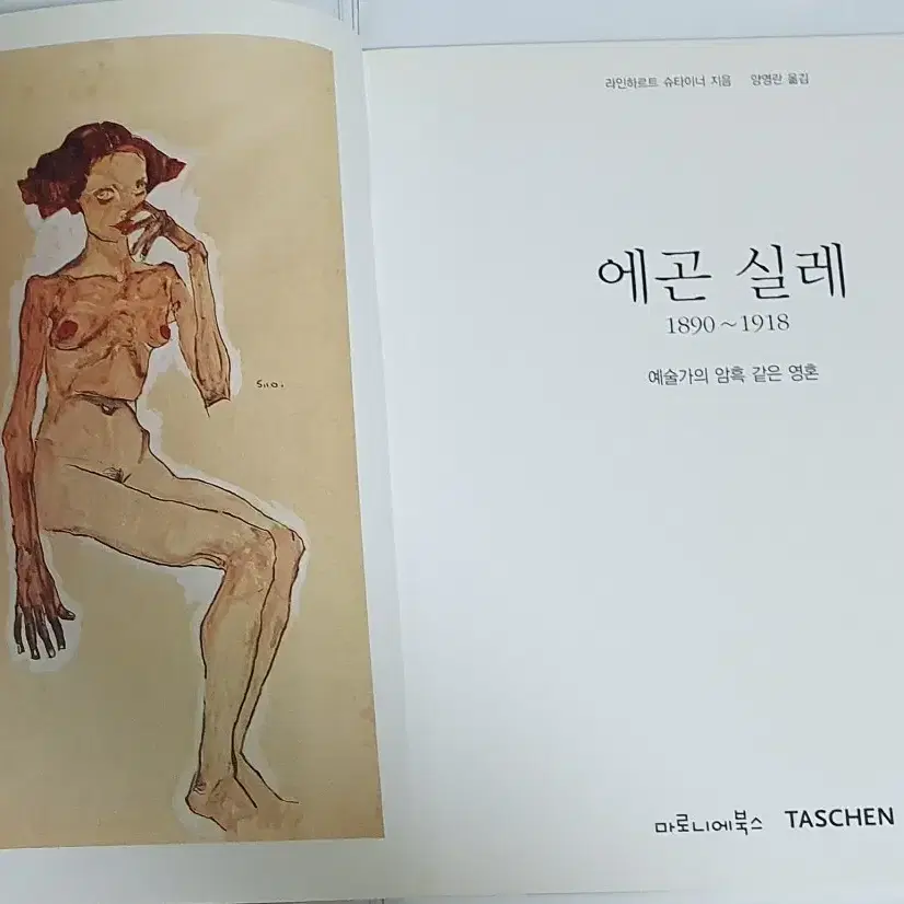 에곤 쉴레 작품 도록 명화 미술 도서 서적 타셴