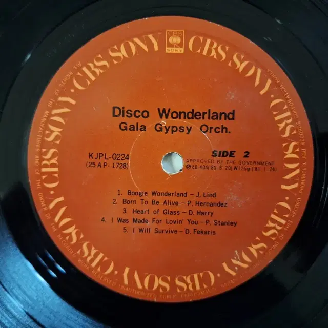 Disco Wonderland LP