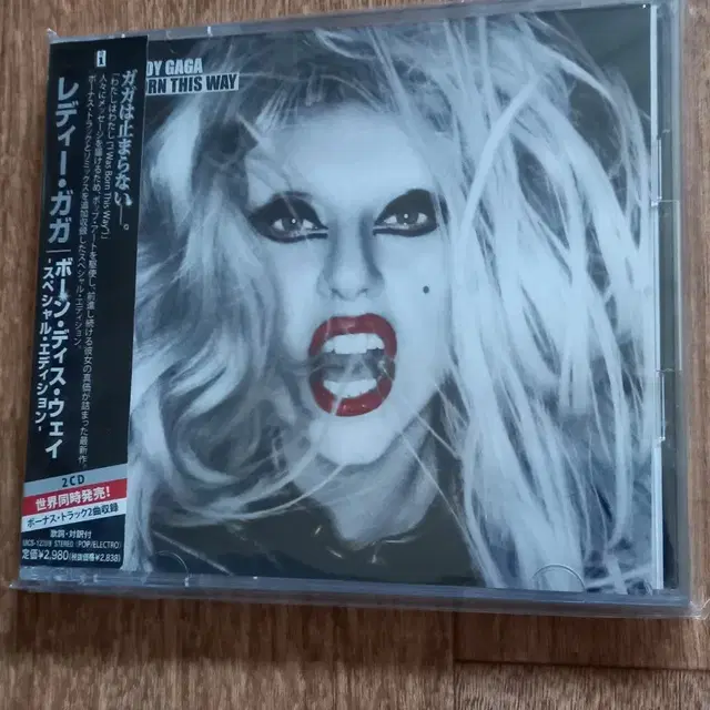 lady gaga 2cd 레이디가가 일본반 시디