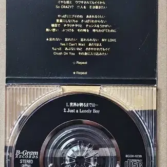 1990년대 일본 가수 WANDS 싱글 CD