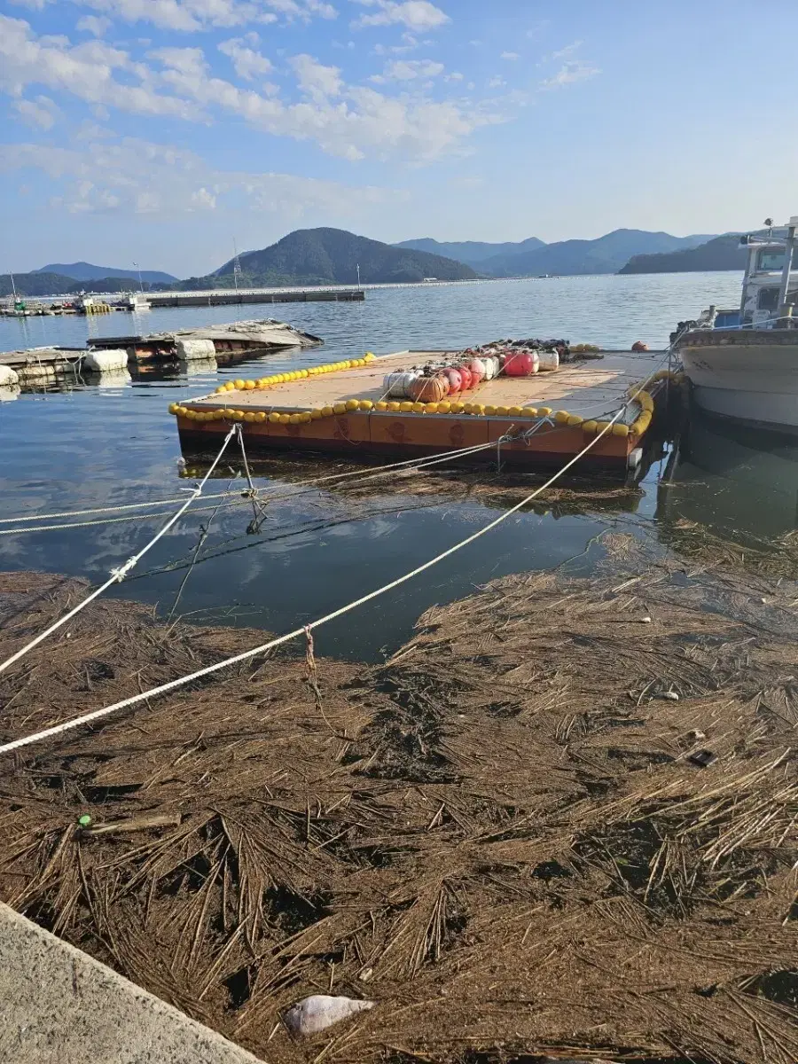 계류장.뗏목.빠지. 판매합니다.