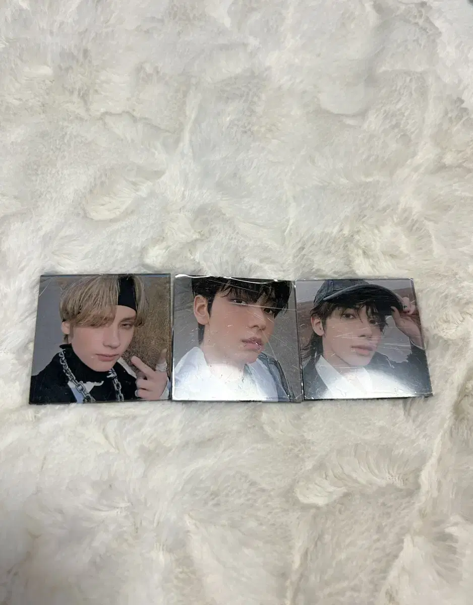 txt bulk magnet wts