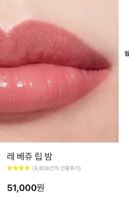 샤넬 레베쥬 봄 아 레브레 벨 민