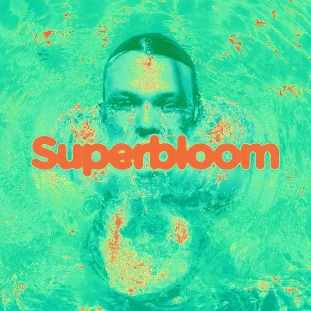 오소스의 드러머 애쉬튼 어윈 솔로 앨범 superbloom LP 블랙반