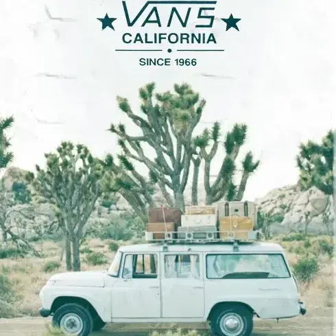 Vans 반스 올드스쿨 올블루 체커보드 290 스탠다드캘리포니아 스케이트