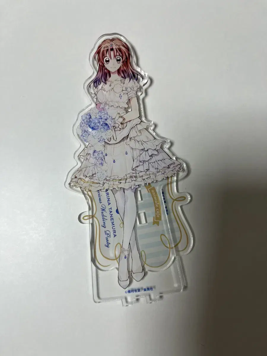 Arina Tanemura Construction Gentile Kyoko Wedding Acrylic