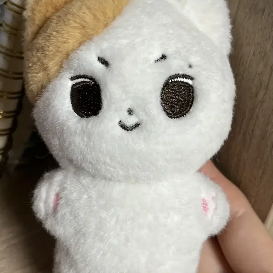 짱냥이 엔하이픈 정원 인형 판매