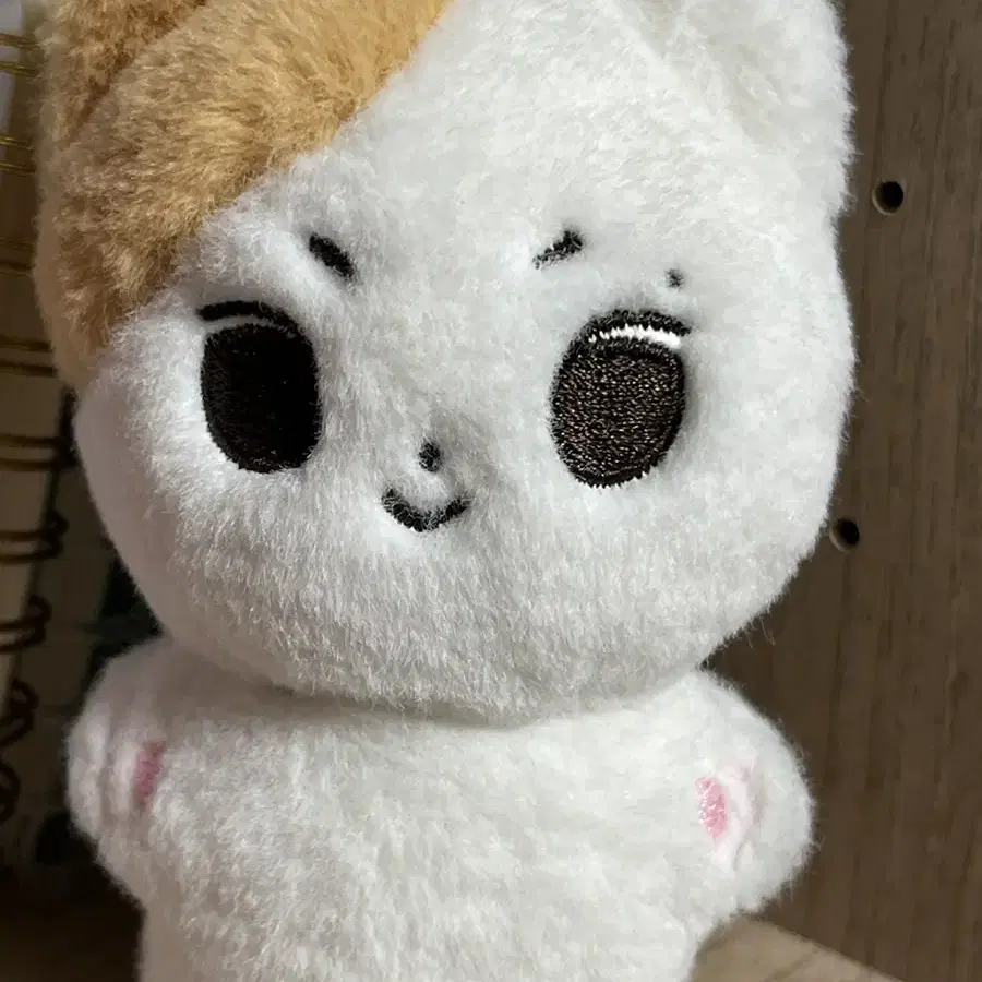 짱냥이 엔하이픈 정원 인형 판매