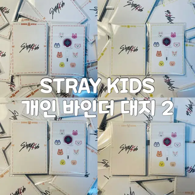 [STRAY KIDS] 스키즈 개인 바인더 대지 막내라인