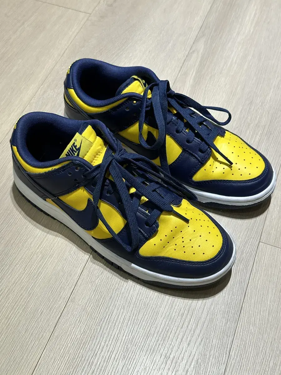 Nike Dunk Low Retro Bacity Mays