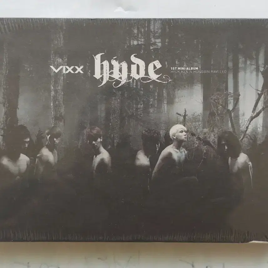 빅스 cd