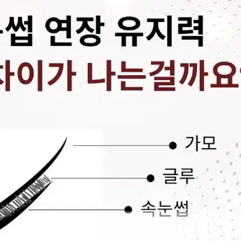 아스터 글루 속눈썹연장 글루 빠른글루 1초글루 속눈썹 시술글루 10g글루