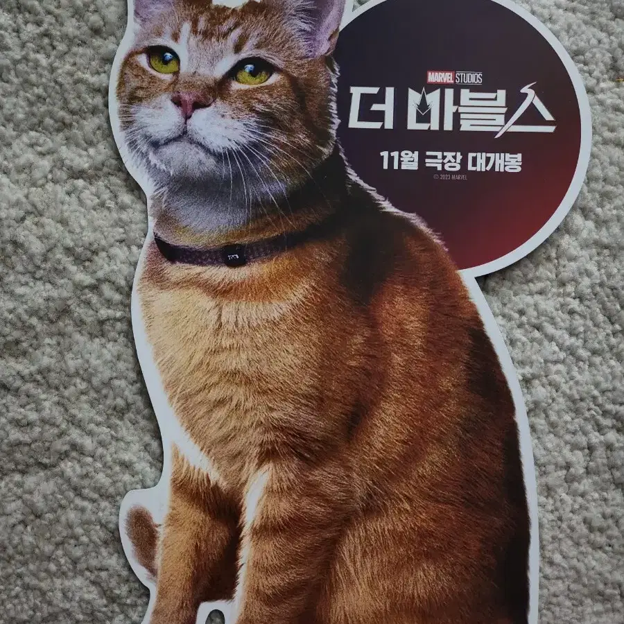 영화팜플렛 영화전단지 더마블스 고양이