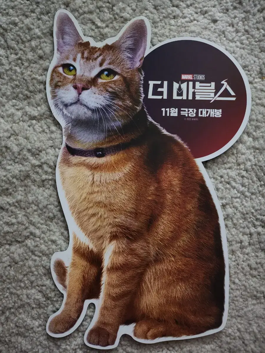 영화팜플렛 영화전단지 더마블스 고양이