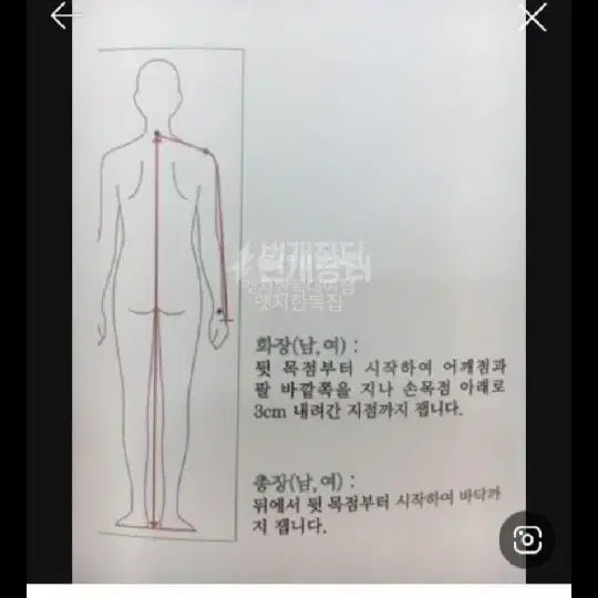 55여성,여자퓨전당의한복