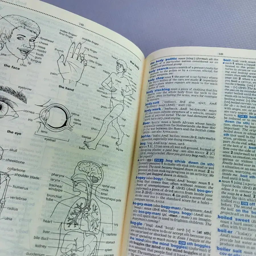 옥스포드 러너스 영영사전,  Last  lecture