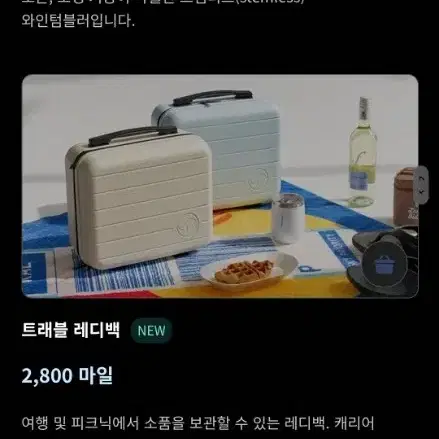 대한항공 트레블 레디백 팝니다.