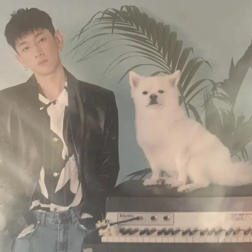 Shop 크러쉬LP on Bunjang Global Site - No more Korean account!