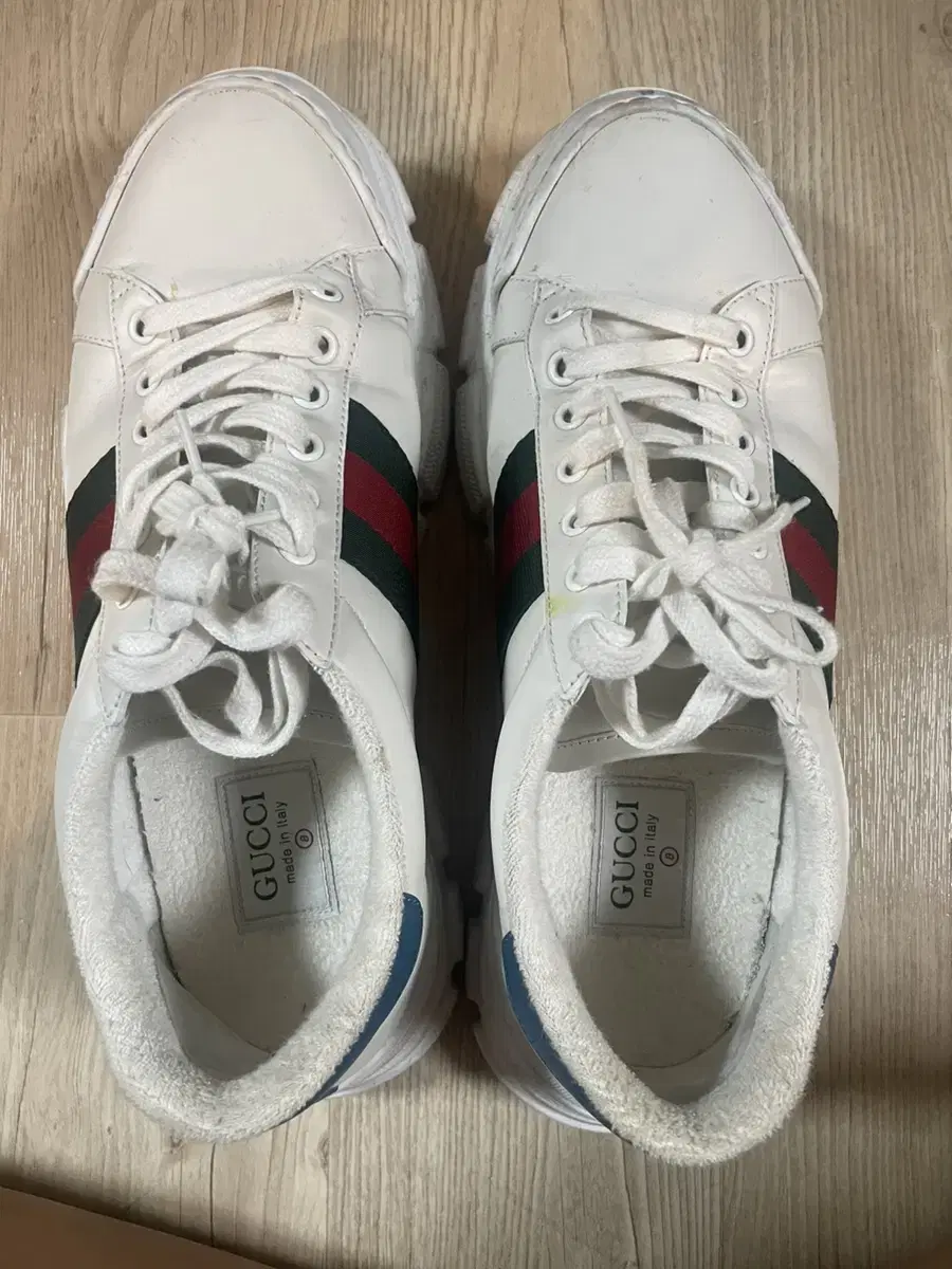 Gucci Web Sneakers