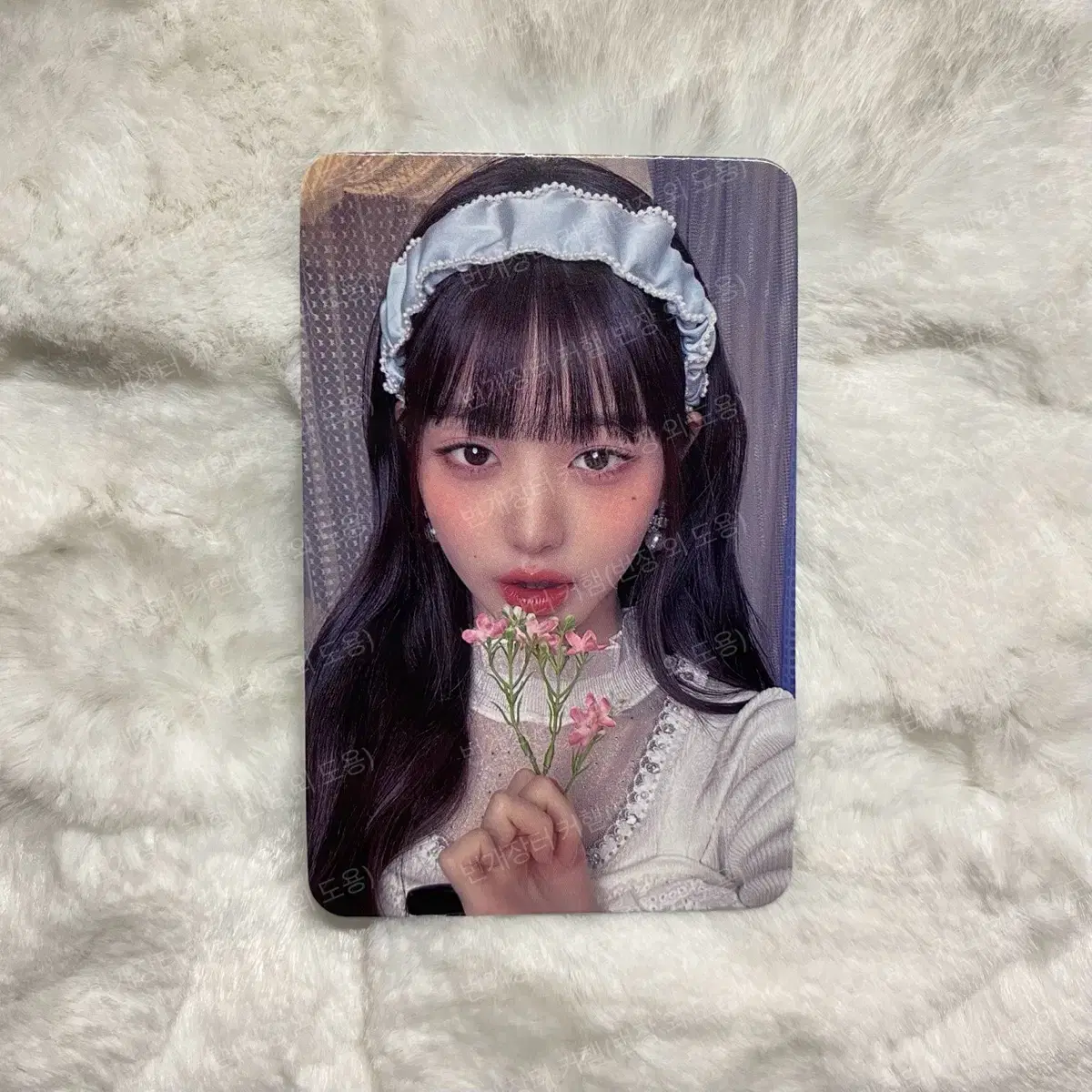 ive jang wonyoung season's greetings soundwave seasons greetings photokard photocard 2024 wonyoung