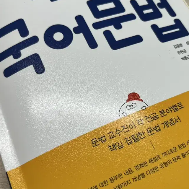 개념있는 국어문법