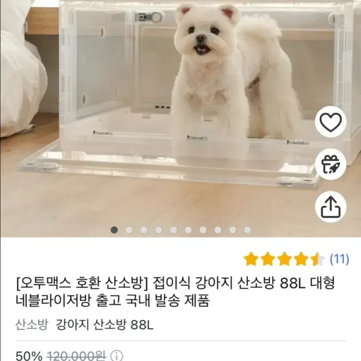 가정용 산소방 산소발생기 -세이프비 (강아지 고양이 산소방 가능)