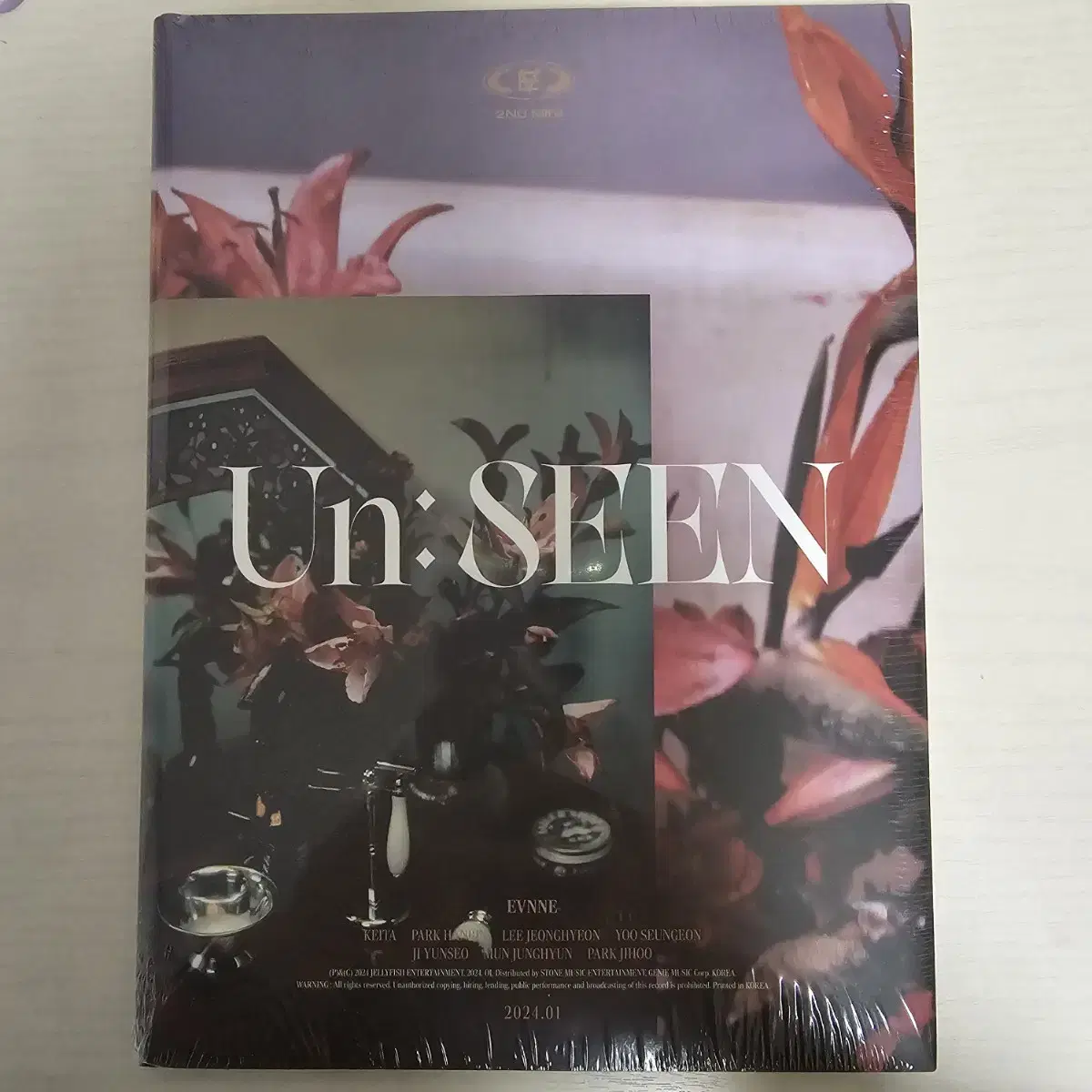 Evnne Book 2 Unseen sealed album Chapter 1