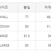 [해외] 베이프 에이프 체크 반팔 셔츠 24SS