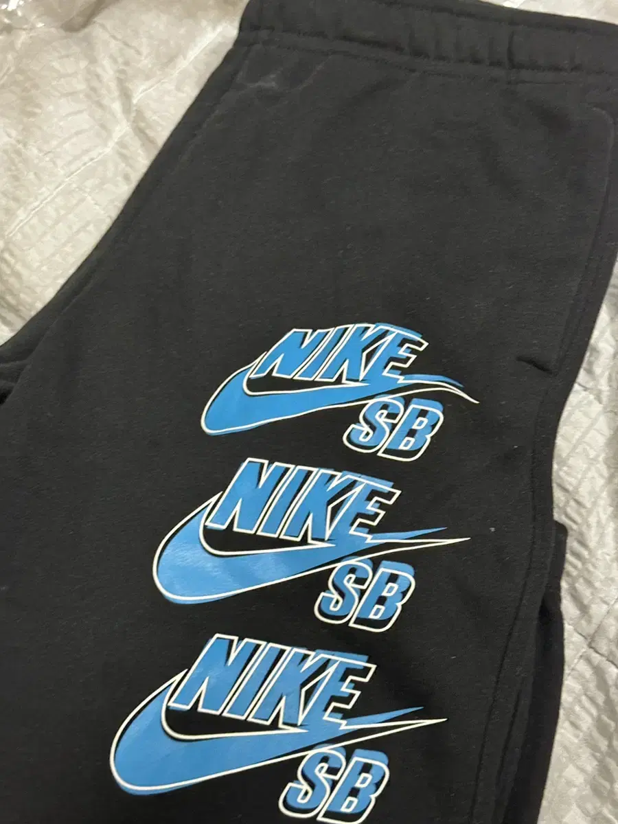 Nike SB Jogger Pants