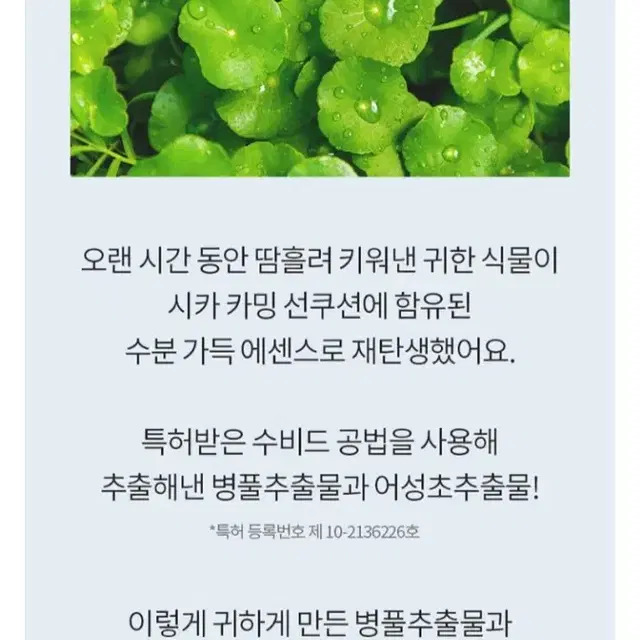 새상품.미개봉.AHC 선쿠션