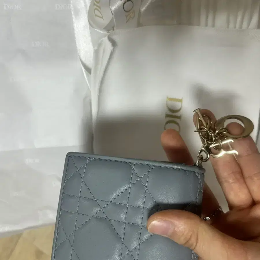 Lady Dior Gardenia 미니 지갑