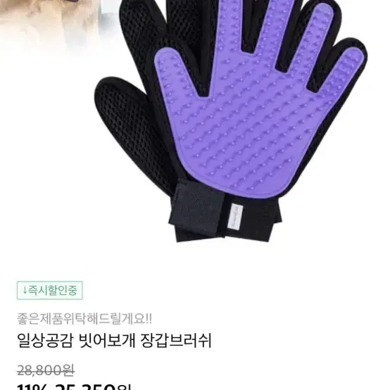 장갑 브러쉬 강아지 고양이 털정리