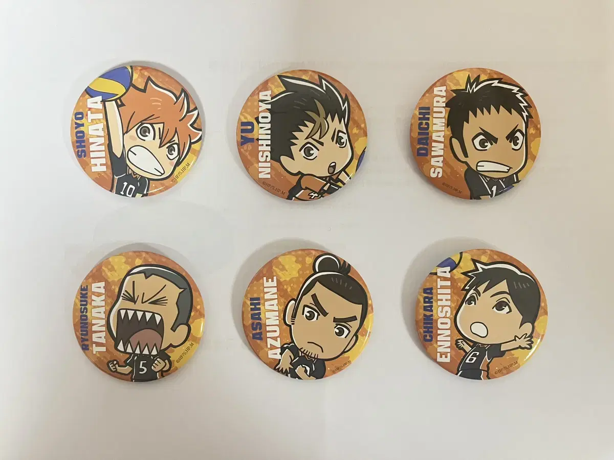 Haikyuu First Lottery hinata Nishinoya Daichi Tanaka Azumane Ennoshita Canbadge