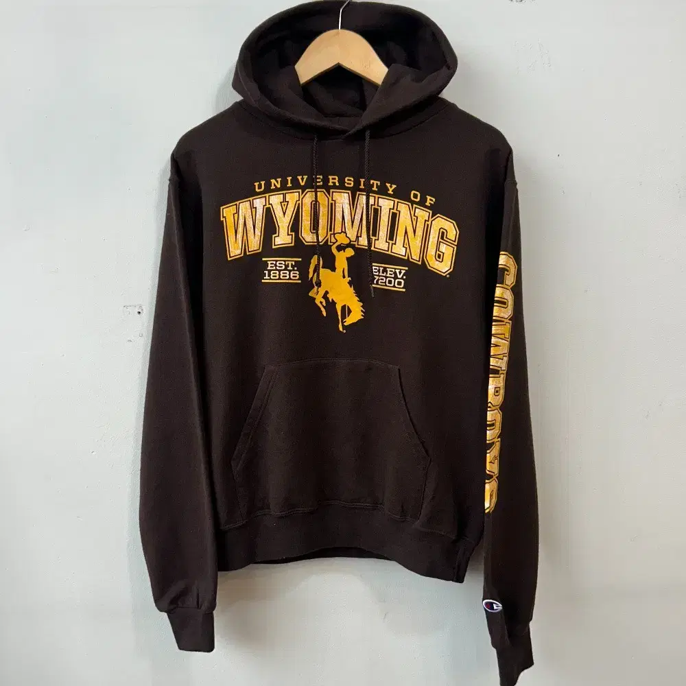 11165 - Champion Brown University Hooded Sweatshirt