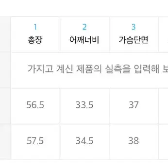 마조네 버니 반팔 티셔츠 (그린) M