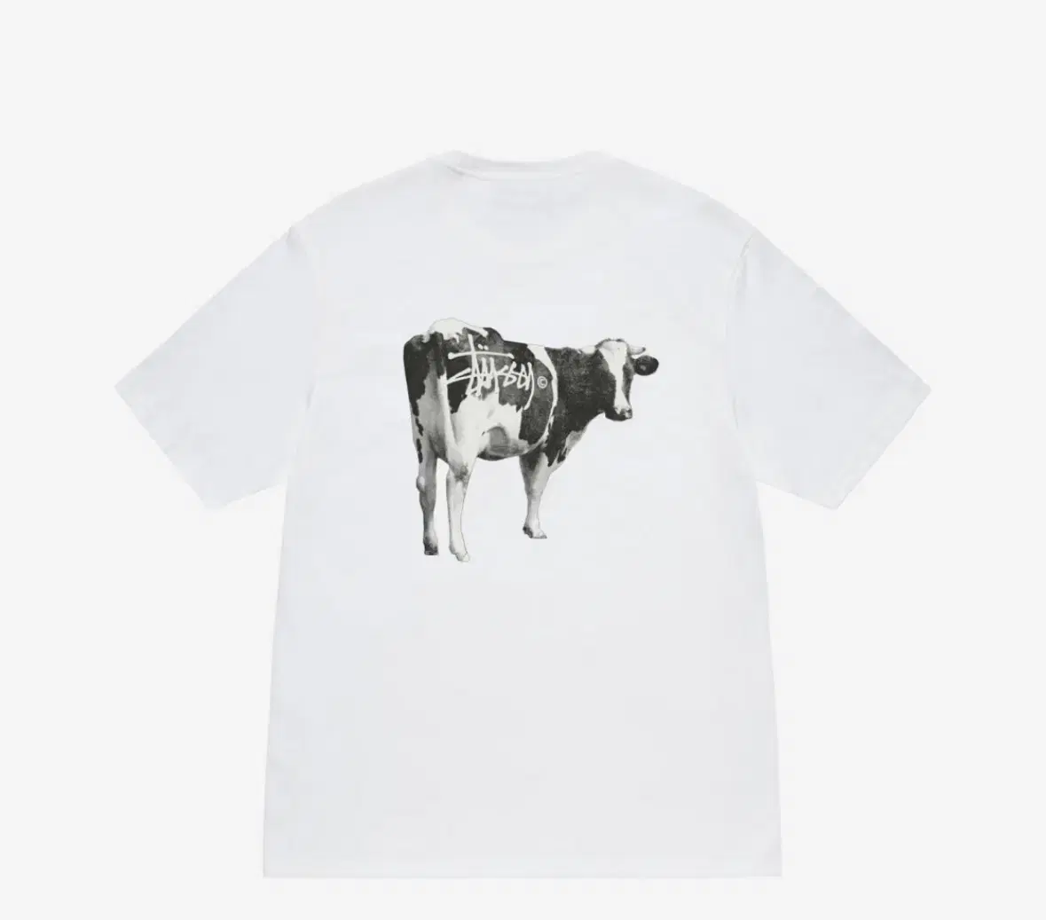 Stussy grassfed 티셔츠 L