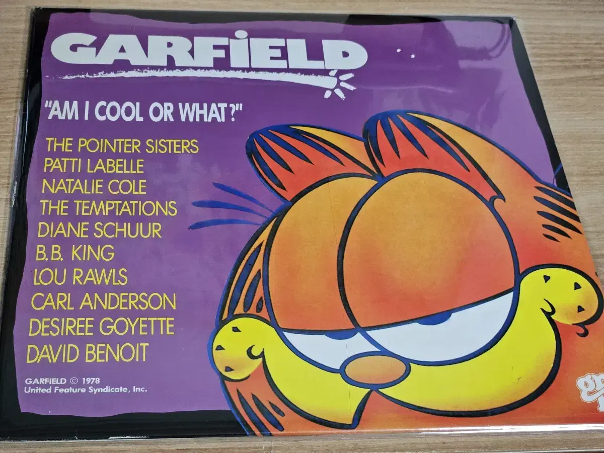 Garfield - Am I Cool Or What (LP)