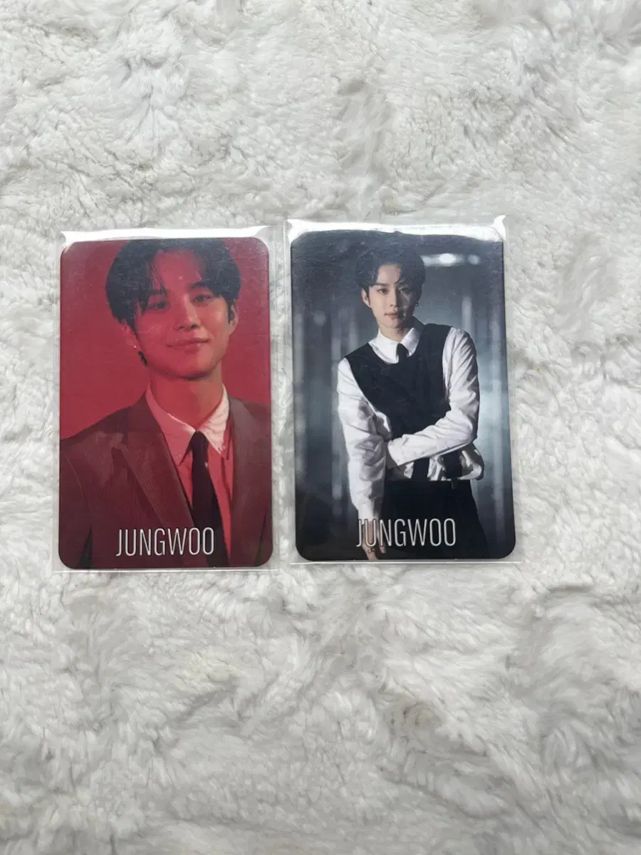 Jungwoo Loveholic Japanese Confectionery photocard wts sells