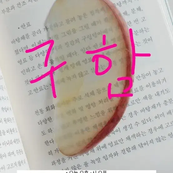 [구함] 옥토 작가님 사과 or 다른 책갈피 구매합니다