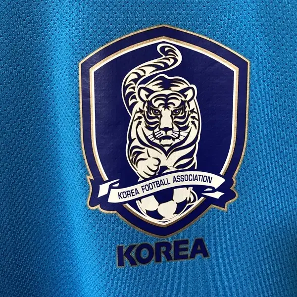 나이키국대 국대KOREA 축구국대 트레이닝유니폼/져지 M(95)