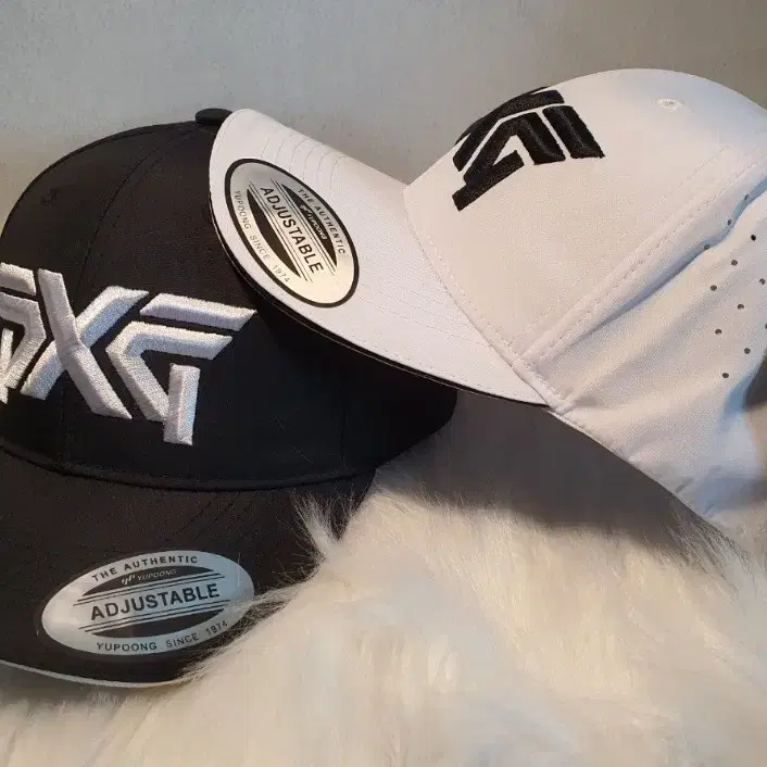 PXG DOUBLE PANEL CAP (세일!!)