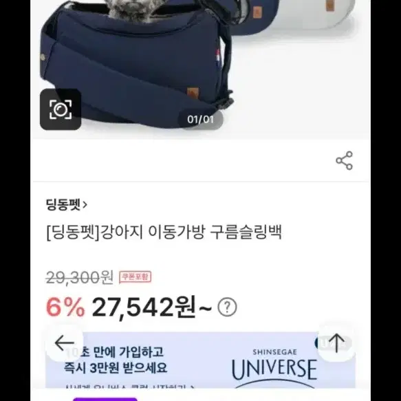 애견 이동가방