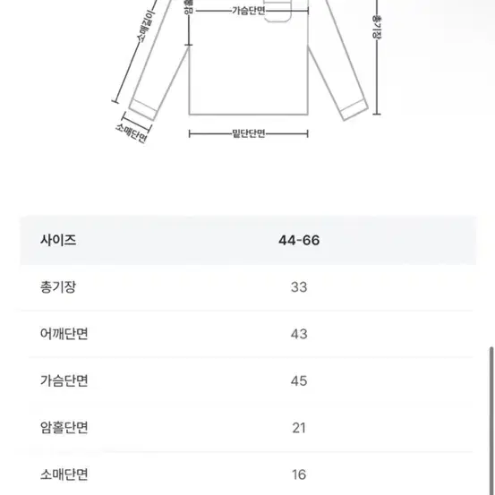 시스루긴팔