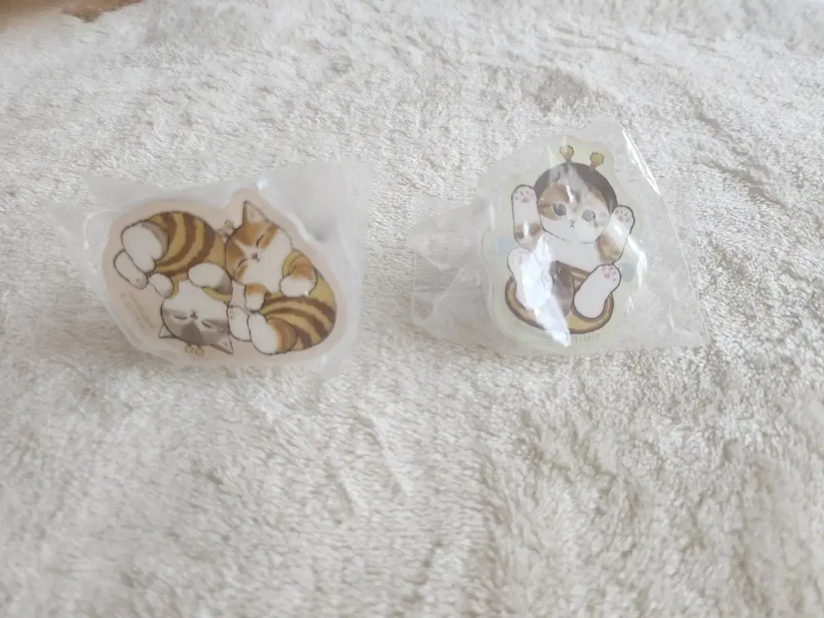 Morphsand acrylic clip gacha