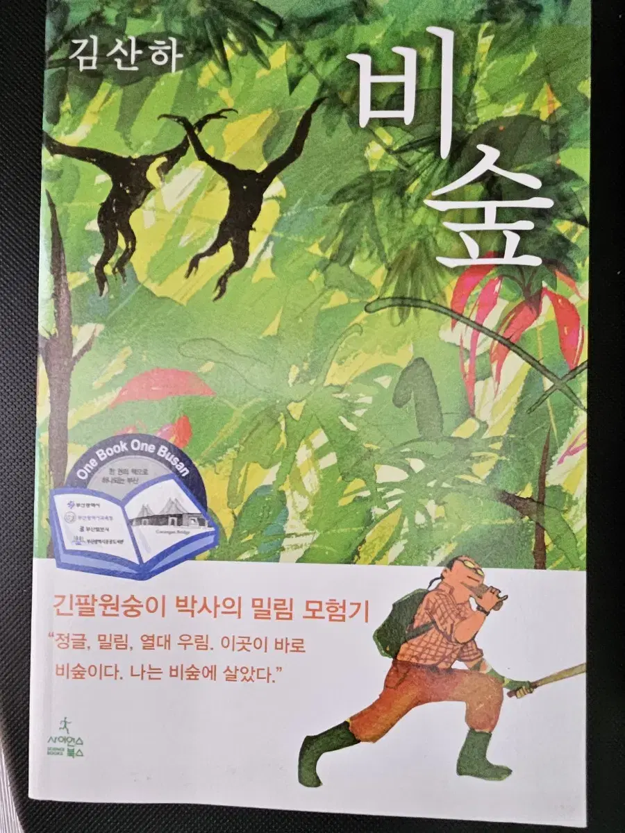 비숲 ㅡ김산하